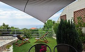 Olive Tree Villa