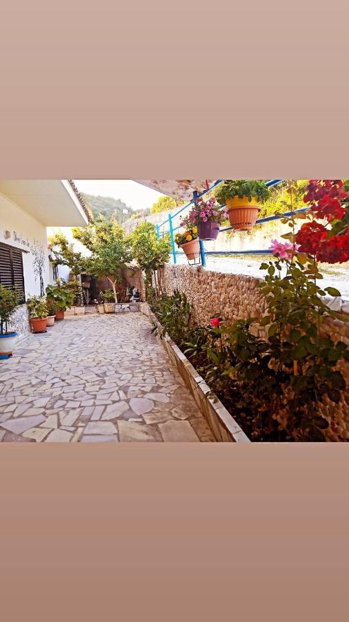 Olive Tree Villa Λυγιά Εξωτερικό φωτογραφία