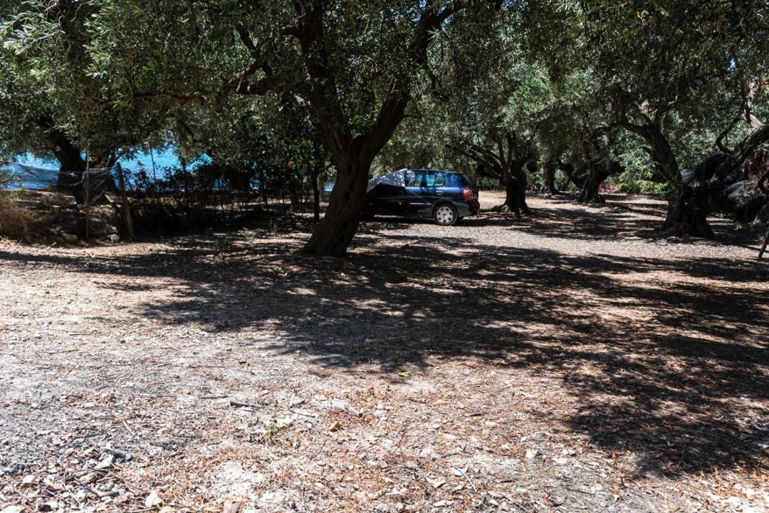 Olive Tree Villa Λυγιά Εξωτερικό φωτογραφία